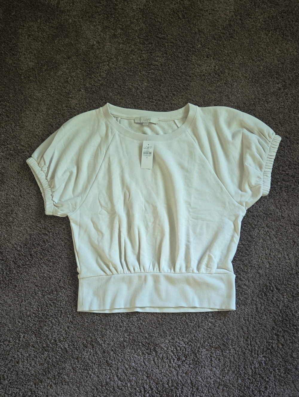 NEW Ann Taylor Loft Gray Terry Sweatshirt Top M